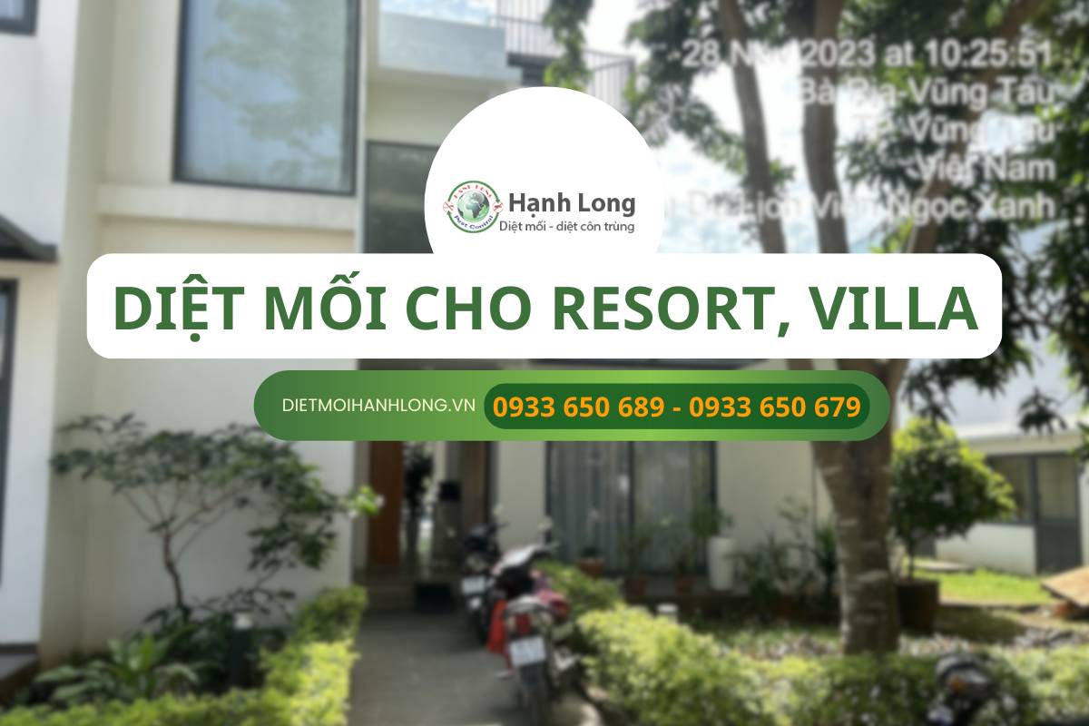 Bảng giá diệt mối tại Resort, Villa của Hạnh Long