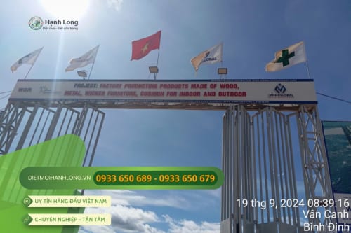 Lắp ống bảo trì Termite Pro