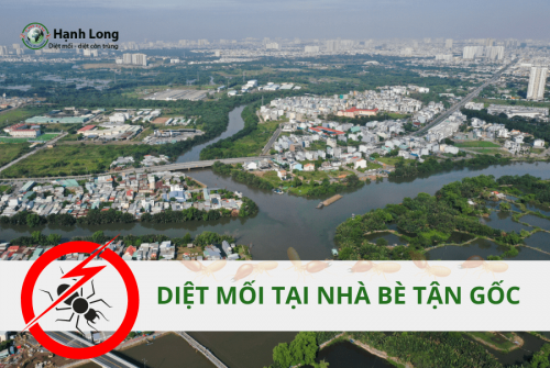 Diệt mối tận gốc tại Nhà Bè
